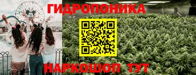 Альфа ПВП Новозыбков