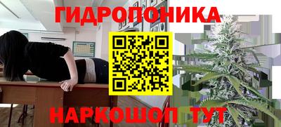 Альфа ПВП Новозыбков