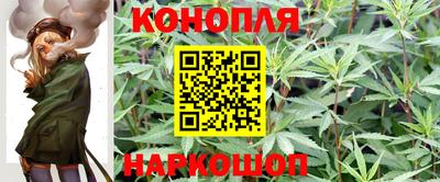 гашик Новокубанск