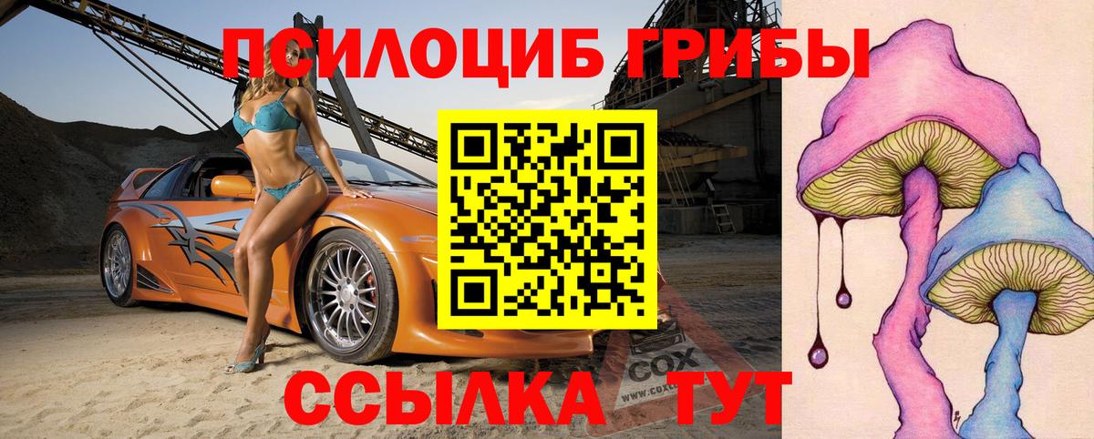 Астрахань  Галлюциногенные грибы Psilocybine cubensis  где продают наркотики  Вход с VPN 